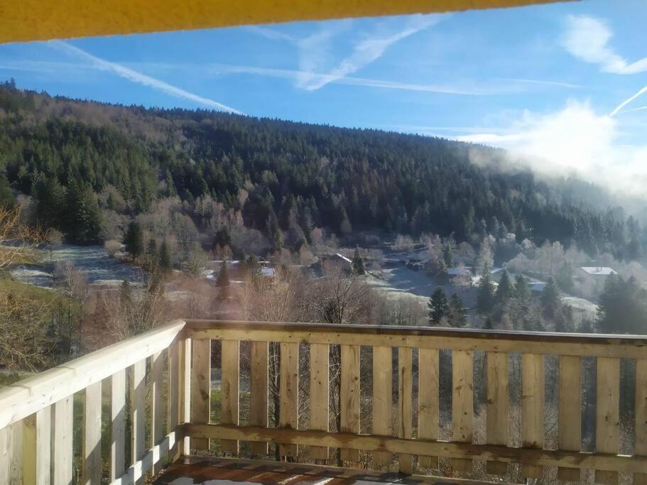 Maison De Montagne Vue Magnifique Ventron Kültér fotó