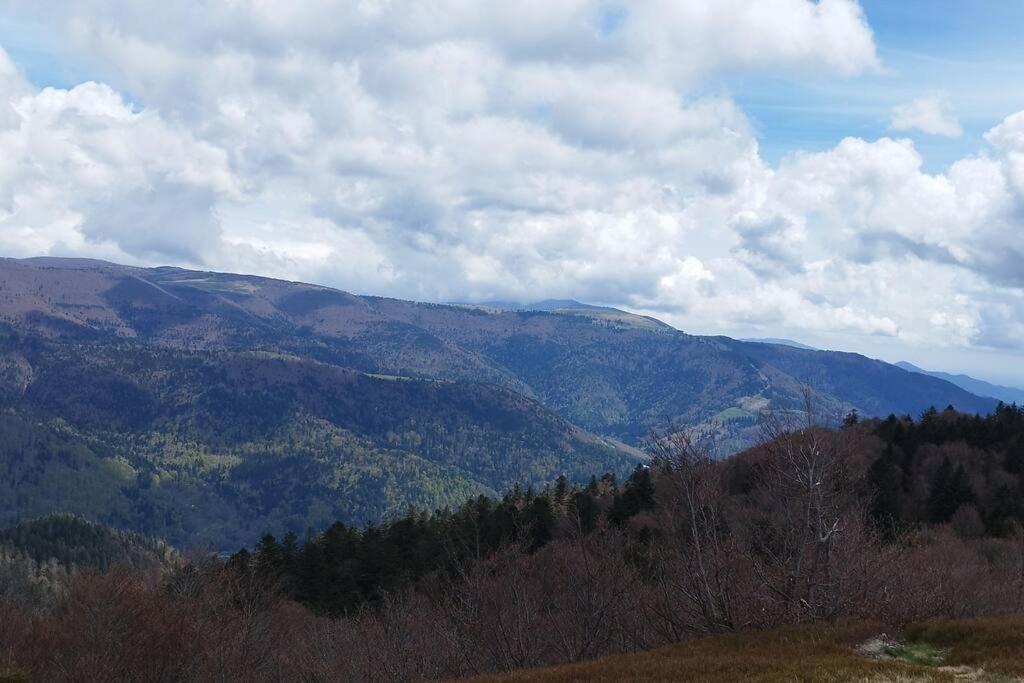 Maison De Montagne Vue Magnifique Ventron Kültér fotó