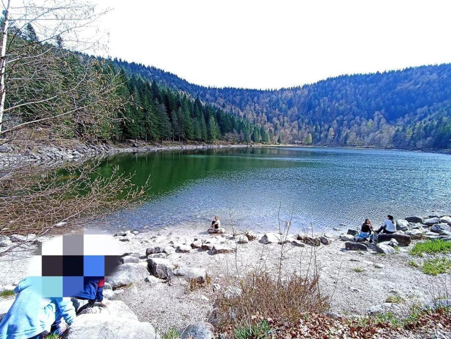 Maison De Montagne Vue Magnifique Ventron Kültér fotó