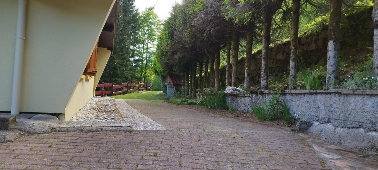 Maison De Montagne Vue Magnifique Ventron Kültér fotó