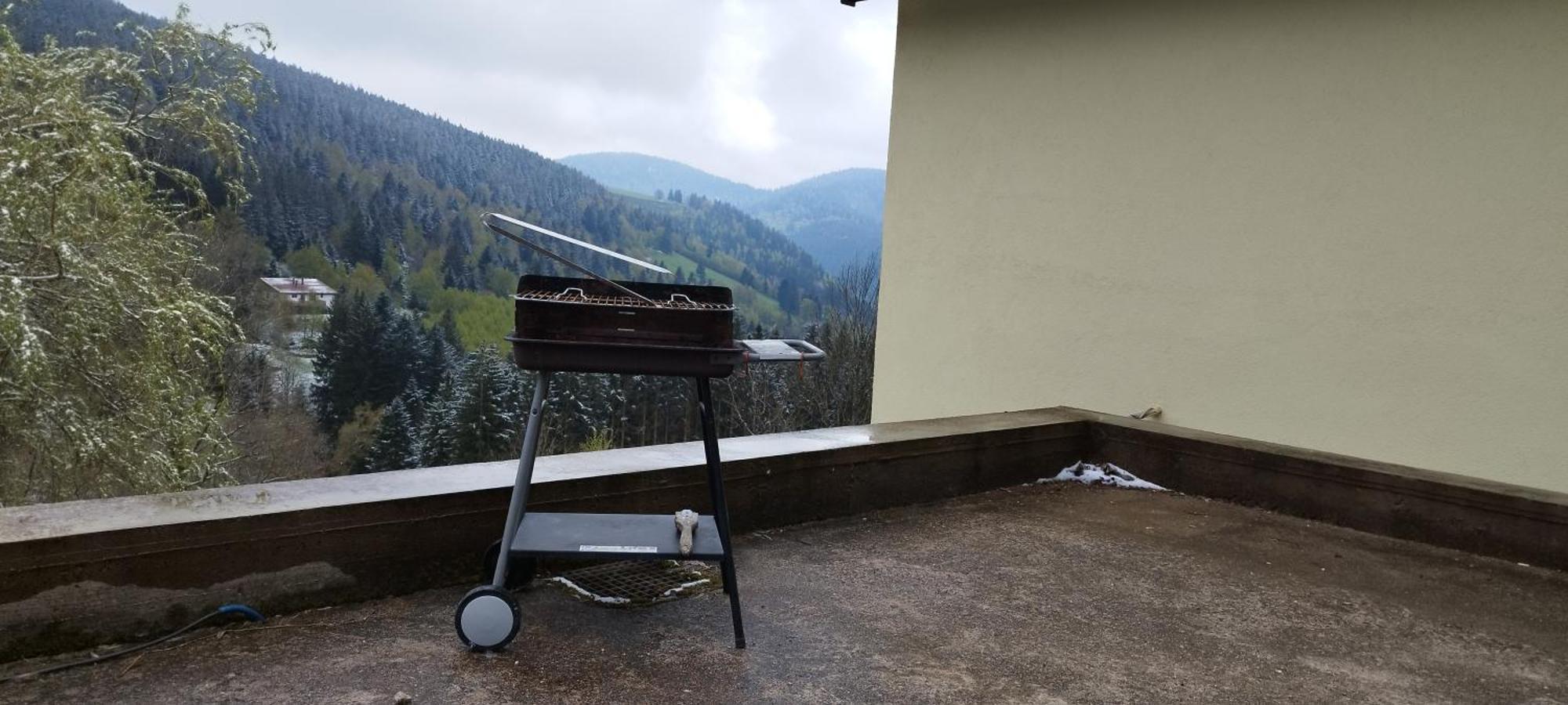 Maison De Montagne Vue Magnifique Ventron Kültér fotó
